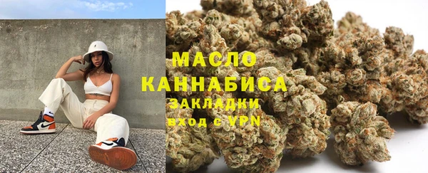 мет Дмитров