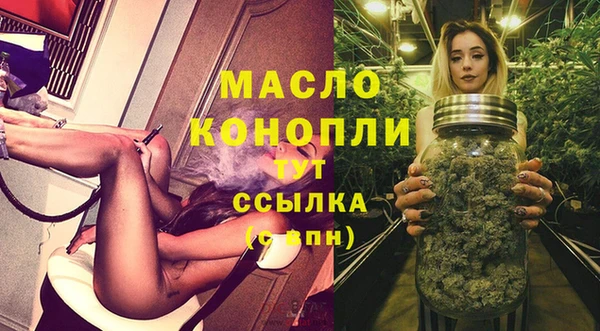 мет Дмитров