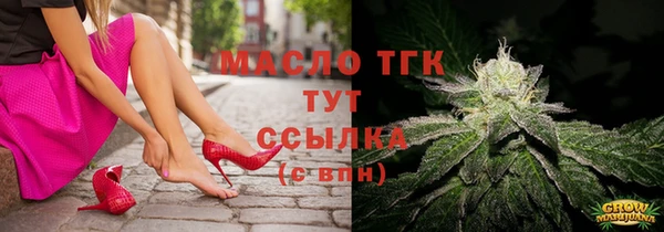 СК Дмитровск