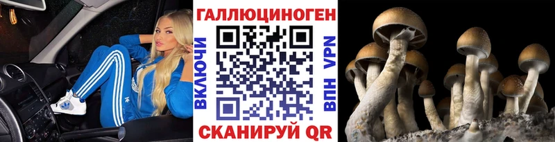 Псилоцибиновые грибы GOLDEN TEACHER Баксан
